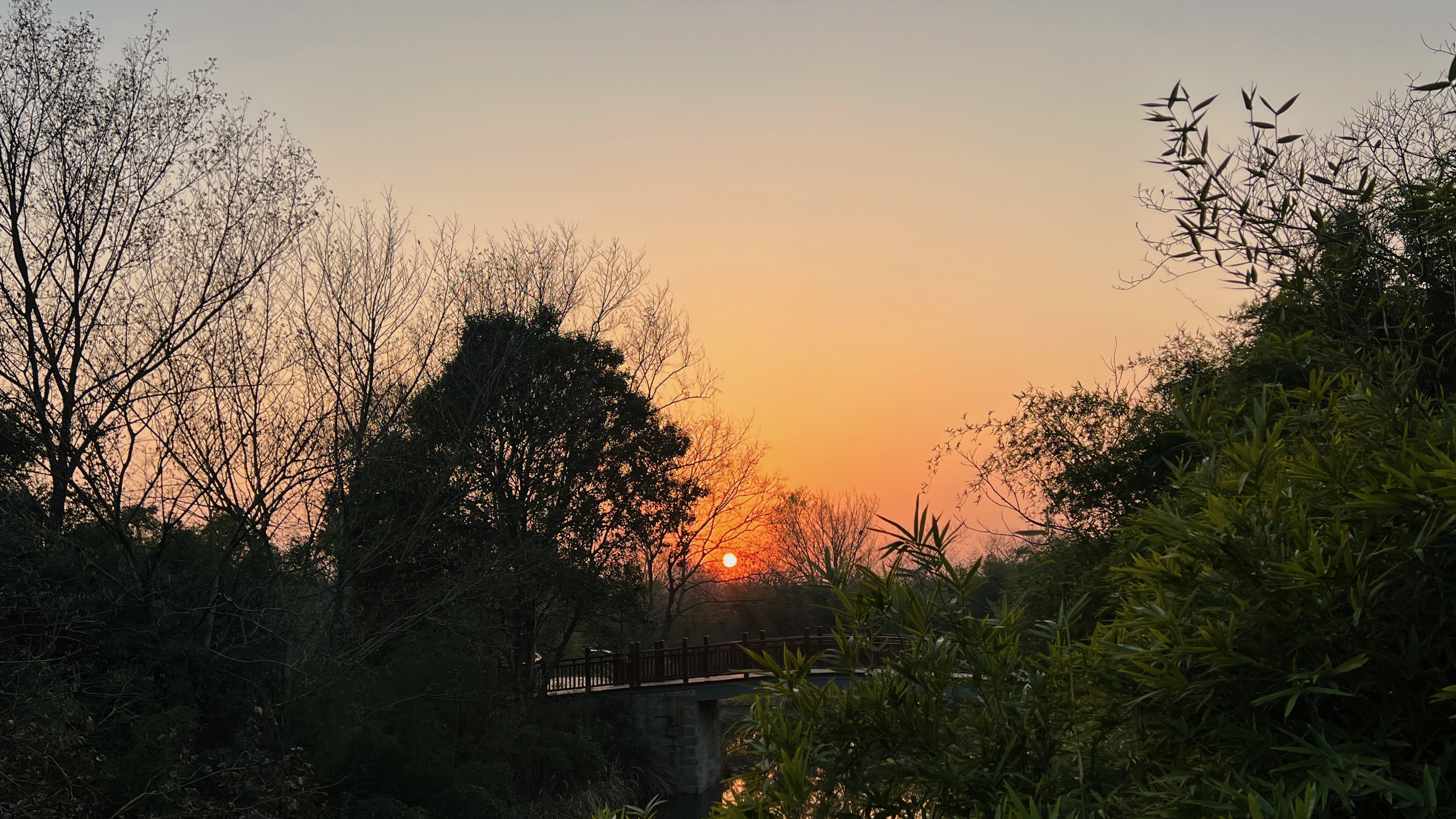 《乡下人的悲歌》